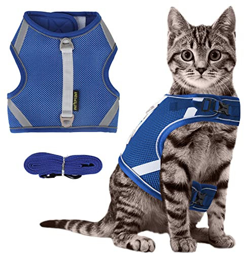 Katzengeschirr ausbruchsicher mit Leine, Katzenleine mit Geschirr für Katzen, Katze Reflektierend Streife Brustgeschirr Verstellbare Atmungsaktive, 150cm Katzenleine für kleine Katzen (S,Blau)