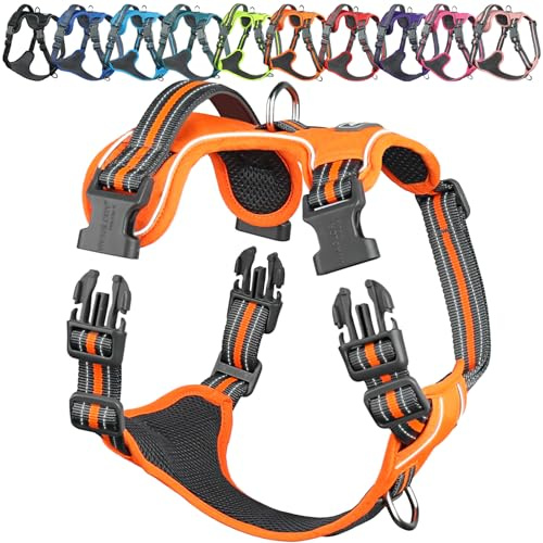 VIVAGLORY Anti Zieh Geschirr für Hunde Hundegeschirr, M, Orange, A