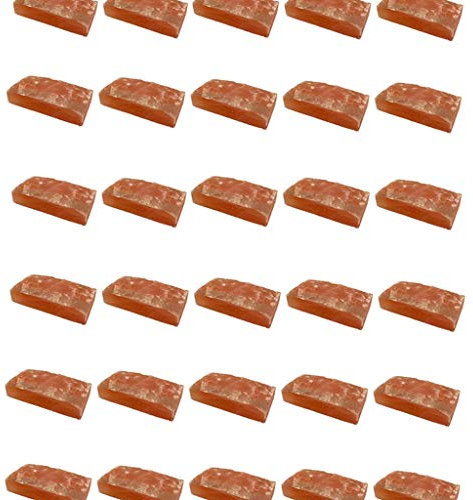 SudoreWell® Salzziegel 20x10x5 cm - eine Seite rau - aus der Salt Range Pakistan (50 Stück)