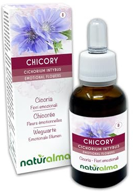 Chicory eller Cikoria (Cichorium intybus) Emotionella blommor eller Bachblommor Naturalma - 30 ml droppar - Alkoholfritt flytande extrakt - Blommessenser - Vegansk