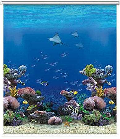 Verdunkelungsrollos mit Strandblick für Schlafzimmer/Badezimmer/Kinderzimmer, Premium-Qualität, 120 x 221 cm breit, erhältlich in 60 cm/80 cm/100 cm/120 cm/140 cm Größen