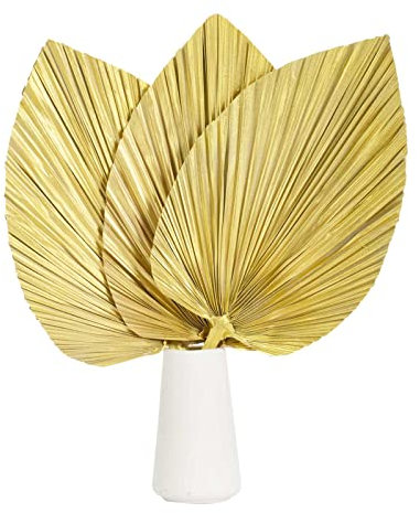 Hojas de palma secas grandes, abanicos de plantas de lanza de 17.7 pulgadas para decoración bohemia en el hogar, oficina, decoración tropical de boda, decoración de mesa de fiesta, flores secas de