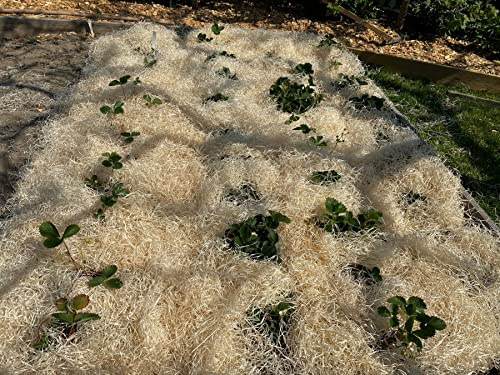 Fashion-Sonderposten Erdbeerwolle Gemüsewolle Gartenholzwolle Holzwolle 100 Prozent Ökologisch (2,5 KG)