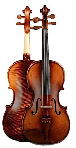 HDYNUZ Studenten-Viola, Massivholz-Viola, Fichtendecke, Ebenholz-Griffbrett, handgefertigt, mit Koffer, Bogenbrücke und Saiten für Erwachsene und Kinder, Anfänger, Profis (Size : 16inch)
