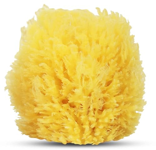 HartFelt Exfoliating Grass Sea Sponge 4in | Natural Exfoliating Body Scrubber Sponge for Shower for Women and Men