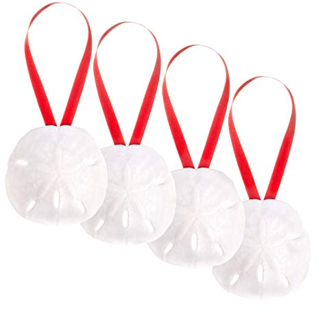 Sanddollar prydnader | naturliga sanddollar 7,6 cm med rött band | set med 4 | riktiga sanddollar för strand bröllopsdekor | Plus gratis nautisk e-bok av Joseph Rains