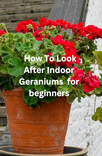 How To Look After Indoor Geraniums for beginners: The Ultimate Beginner's book to Growing Beautiful Geraniums Indoors – Everything You Need to Know ... and Creating a Thriving Indoor Garden