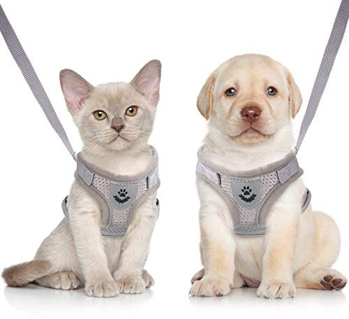 Katzengeschirr Ausbruchsicher Cat Harness Katzengarnitur Geschirr Katzen Leine und Geschirr Atmungsaktiv Mesh Verstellbare für Outdoor Training Kleine Katze Kitten Grau XS