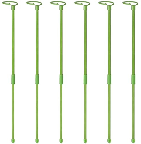 Amaryllis-Stäbe, 6 Stück, 61 cm, Pflanzenstütze, rostfrei, Orchideen-Stäbe, wiederverwendbar, für Zimmerpflanzen, Lilie, Pfingstrose, Rose, Blume – Amaryllis-Orchidee
