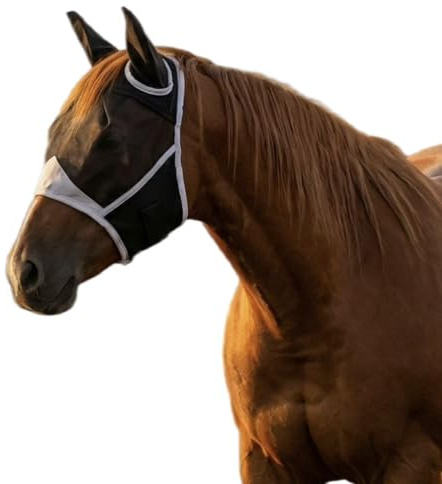 Fliegenmaske Pferd, One Piece Fliegenhaube mit Fliegenohren, Schwarzer Fliegenschutz für Pony, Cob, Warmblut & Shetty, Pferdemaske mit Fliegenohren, Insektenschutz für Pferde, Größen S–L (S)