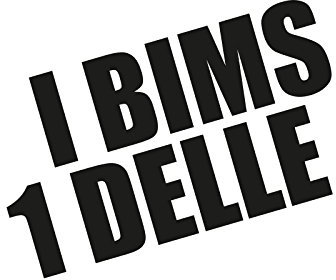 Plott Aufkleber I Bims 1 Delle Sticker Tuning Turbo Fun Gag Spruch Modern