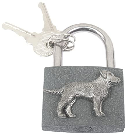 Labrador Engraved Padlock Love Lock Wedding Anniversary Valentines Gift Unity Lock Free Engraving 207