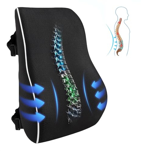 Chiziyixin Back Support for Office Chair, Memory Foam Lumbar Support Cushion with 2 Adjustable Straps, Black Back Lumbar Pillow for Office Chair, Car Driving Seat, Home, Gaming