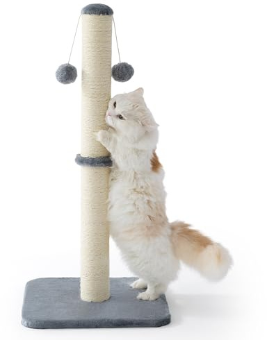 Lesure Kratzsäule Mittelgroßer für Katzen Indoor 40x40x86cm | Kratzstamm mit Hängendem Spielball, Kleiner Kratzbaum mit Sisalseil, Stabile Basis Kratzsäule XL, Grau