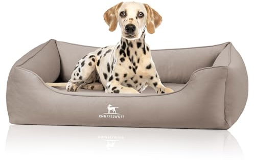 Knuffelwuff orthopädisches Hundebett Oliver, XXL - Hellbraun | Easy Clean Wildlederoptik | Memory Foam | wasserabweisend waschbar | gelenkschonend robust für kleine bis große Hunde