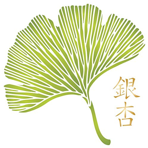 Stencil a forma di foglia di Gingko, 35,56 x 35,56 cm (L) – Oriental Leaves Asian Chinese Character Japanese Leaf Wall Stencil