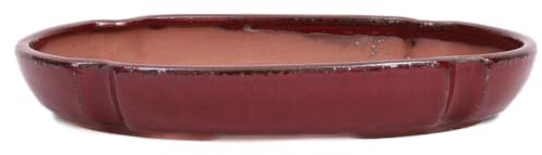 Bonsai - Schale, Waldschale, oval 27 x 19 x 4.5 cm Bordeaux 51361