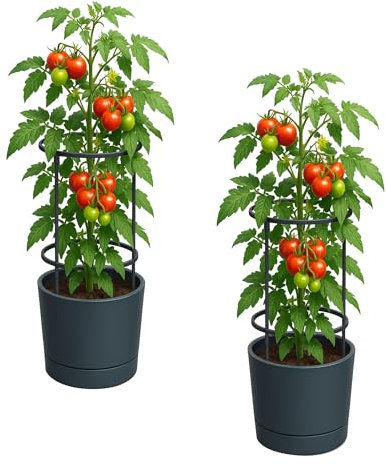 Dynamic24 Pflanzkübel mit Rankhilfe Anthrazit – robuster Pflanztopf für Tomaten & Gemüse, UV-beständig & wetterfest, Anzuchttopf, Tomatenturm, Pflanzgefäß (2)