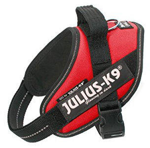 Julius K9 Hundegeschirr, Brustgeschirr reflektierend Hunde Geschirr mit personalisiertes Geschenk, benutzerdefinierter Klettsticker (S/Mini)