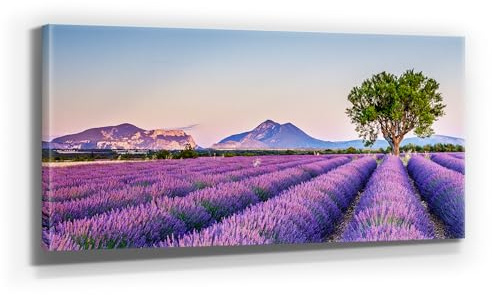 Traumhaftes Lavendel Leinwand-Bild, Provence in 110x50cm. Oder 9 weitere, schöne Lavendel Bilder als Wandbild zur Deko für Küche, Flur, Wohnzimmer & Schlafzimmer. Aufgespannt auf Holzrahmen