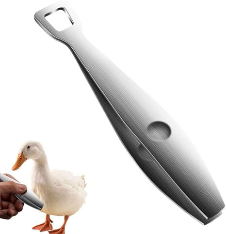 Fischgrätenpinzette - Edelstahl Fischgrätenentferner | Spitze rutschfeste Pinzette für präzises Entgräten | Schwerlast abgewinkelte Fischgrätenzange | Ergonomisches