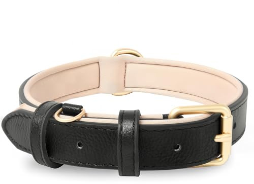 HEELE Hundehalsband Leder, mit Weich Gepolstert Verstellbar, Schwarz, M | Hunde Halsband Echtes Leder, Halsband für Welpen Kleine Mittel Große Hunde