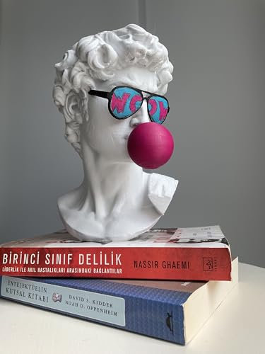 David Bust Woow Pop Art Michellangelo's David Sculpture 25 cm Hand Painted