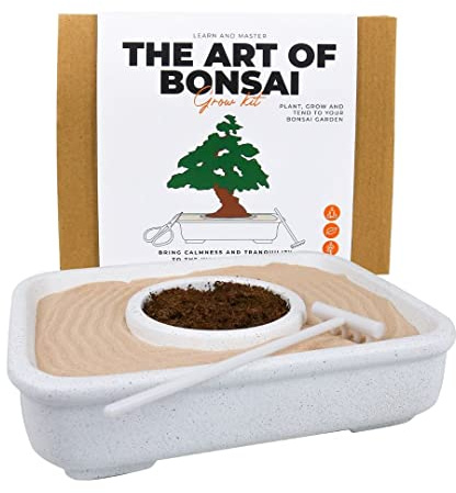 Gift Republic GR870001 Bonsai-Baum-Anzuchtset, keine