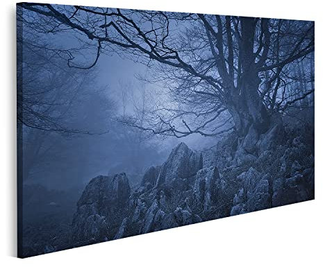 islandburner Tableau sur toile Paysage d'horreur Forêt sombre Arbre effrayant Images murales Poster