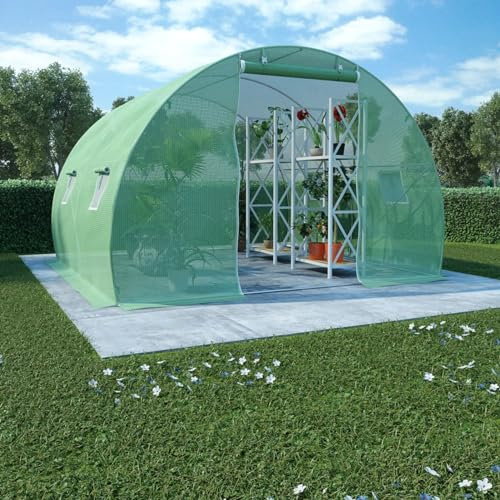 ShCuShan Gewächshaus 9m² 300x300x200 cm Bio Green üBerwinterungszelt GewäChshaus Klein ZimmergewäChshaus