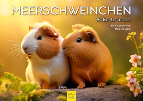 Edition Seidel Premium Kalender Meerschweinchen 2026 Format DIN A4 Wandkalender Tierkalender Meerschwein süße Kerlchen Melanie Viola