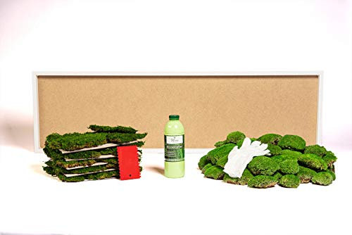 DIY Moosbild selber Machen, Wandbilder selber kleben, Moosbilder selber gestalten, Do it Yourself Set Moos kleben Wanddeko selbst herstellen (Weiß, 140x40 cm)