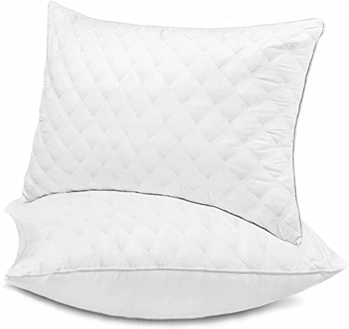 Oreiller 50x70 cm Lot de 2 Coussins Hotellerie Luxe Oreillers, Antiallergique Anti Acarien d'oreiller Moelleux Microfibre Lavable, Ergonomique Oreiller pour Dormeurs sur Le Dos Le Côté Le Ventre