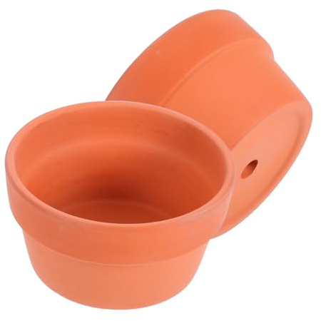 FUTUREORYY Lot de 2 Pots en Terre Cuite Poreux pour Cactus et Succulentes, avec Trou de Drainage, Favorisant L'aération Croissance des Racines, pour Jardin