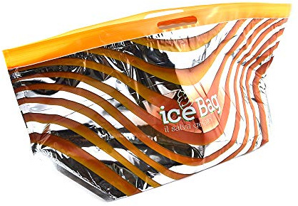 PZ 10 Busta Termica Ice Bag Grande 52 CM X 27 CM (per Contenere VASCHETTE Gelato da 750/100/1500 CC) per Gelato, ASPORTO Dolci, SEMIFREDDI, Yogurt E Altri Alimenti for Ice Cream