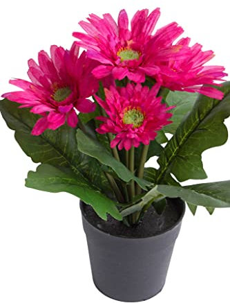 Botanic-Haus künstliche Gerbera (Gerberabusch) mit 5 Stielen im schwarzen Kunststofftopf (Beauty)