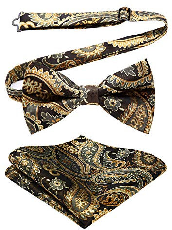 HISDERN Herren Fliege verstellbar Paisley Schleife bereits gebunden Taschentuch Set Hochzeit Party Smoking golden schwarz braun