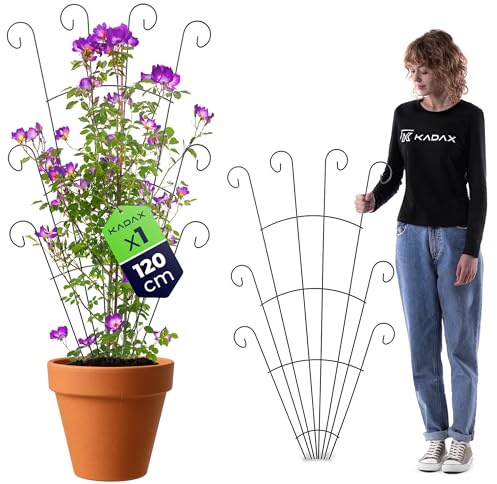 KADAX Metall Rankgitter 62 x 120 cm, Rankhilfe für Kletterpflanzen wie Rosen & Clematis, Pflanzen Spalier für Garten, Balkon & Terrasse, Rosenrankgitter aus Stahl