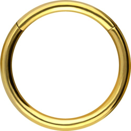 PIERCINGLINE Segmentring Clicker aus Titan - Piercing für Nase, Septum, Ohr, Helix oder Tragus