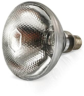fratrisPRO Wärme Lampe Tageslichtlampe E27 Wärmelampe 100-250W 240V Terrarium Hühner Welpen Küken Tiere (175 Watt)