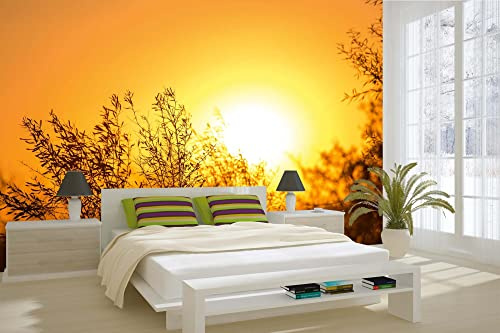 Vlies Fototapete BAUM IM SONNENAUFGANG 375 x 250 cm (inkl. Kleister) - Vlies Tapete, Wandtapete, Wandbilder - Tapete für Wohnzimmer Schlafzimmer, Büro, Küche - Montagefertig