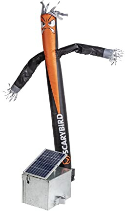SCARYBIRD Aves Inflable