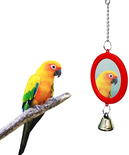 Miroir pour oiseaux, avec clochette, jouet interactif pour perruches, calopsittes, canaris, perruches, perruches, perruches, accessoires (rouge)