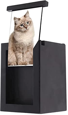 ZWTPGKRD Urnas para cenizas de perro, caja conmemorativa con marco de fotos de memoria, urnas de cremación de madera para gatos, caja de urna para mascotas con imagen