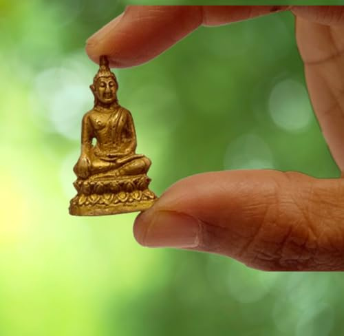 Purpledip Seltene Miniatur-Buddha-Statue aus Messing, meditierender Buddha, einzigartiges Sammlerstück, Gold-Finish (11899)