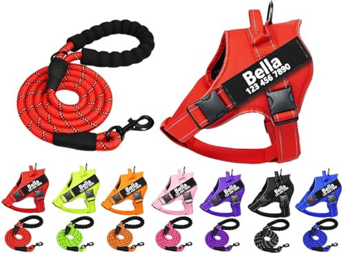 SLZZ personalisierbar kein Zug Hundegeschirr mit Hundename Telefonnummer und Hundeleine langlebiges reflektierendes Hundewestengeschirr für X-kleine kleine mittel große X-große Hunde