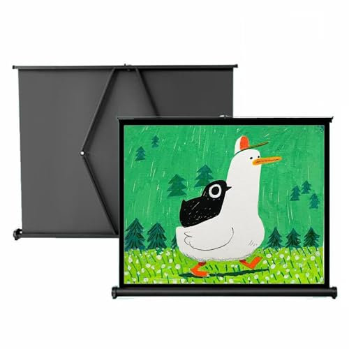 BGBZHMMEE Portable Manual Pull Up Projector Screen, Mobile Movie Screen, 50 Inche Home Theater Projection Screen, Floor Standing Retractable Widescreen(30inch 16:9)