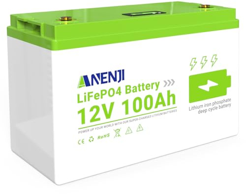 Aninerel 12V 100Ah LiFePO4 Batterie, 1280Wh Tiefzyklus Lithium Batterie, 100A BMS, Niedrigtemperaturschutz, Perfekte Bleisäure Ersatzbatterie für Wohnmobil, Camping, Wohnwagen