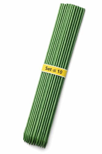 Tutori per Piante in Acciaio Plastificato – Resistenti Anti-Ruggine, Bastoni per Pomodori, Orto e Piante da Interno/Esterno - Sostegno Robusto per Crescita Sana (10 Pezzi, 210 cm, Diametro 15,5 mm)