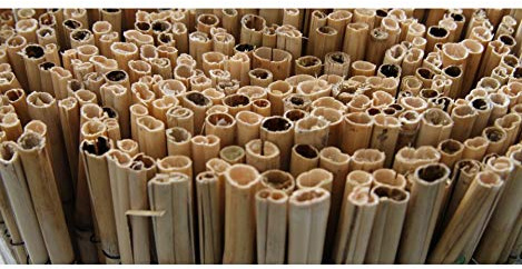BONERVA | Bambú Extra | Bambu Caña Completa para cerramientos y decoración | Varias Medidas (1.5x5 M)